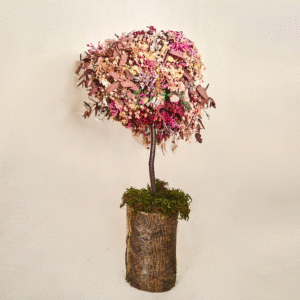 Árbol de Naturaleza Inmortalizada